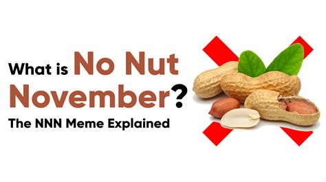 nxnn.de|No Nut November